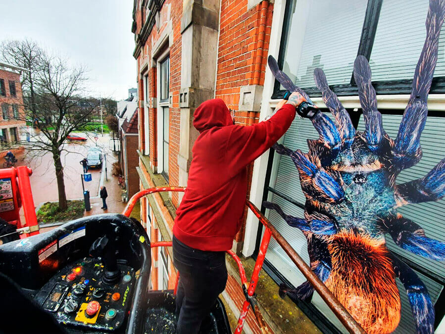 Van idee tot plaatsing, onze ervaren specialisten staan voor je klaar!