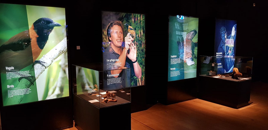 Tentoonstelling GIF!